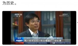 央视爆料马晓伟视频播放,真相令人震惊