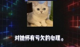 吃瓜娱乐1,揭秘娱乐圈幕后故事，带你领略明星真实生活
