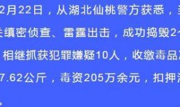 警方热点爆料新闻内容有哪些,最新案件追踪与安全警示