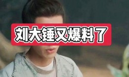 刘大锤爆料爱豆是谁啊视频,视频爆料爱豆身份大猜想