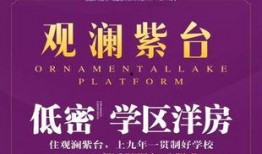岳阳最新爆料新闻
