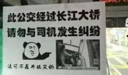 重庆服务区爆料事件视频,监控视频揭露惊人一幕