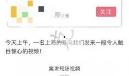 宝山新闻爆料事件视频,视频揭露惊人真相