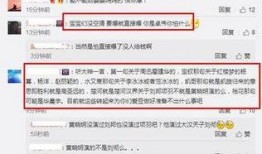 娱乐圈最新八卦爆料软件,揭秘明星私生活大揭秘！