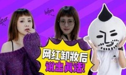 网红爆料揭秘视频大全集,视频大全集深度解析