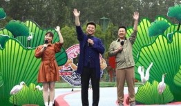 中兴最新爆料新闻事件视频,揭秘事件背后真相与影响
