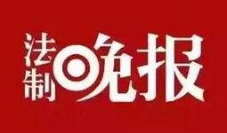 爆料新闻搜索线索,爆料新闻背后的惊人真相，线索指向惊人内幕
