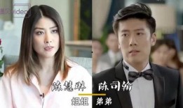 娱乐圈姐姐爆料事件小说