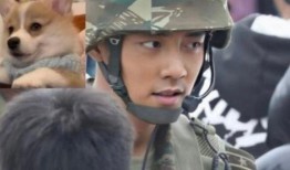 王牌部队肖战最新爆料,最新爆料引粉丝热议