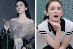 赵樱子爆料视频,娱乐圈背后的惊人真相