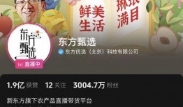 东方甄选今日爆料,揭秘今日热门产品背后的故事