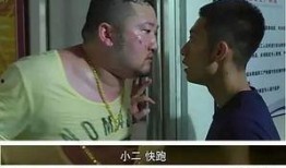 免费余罪2在线观看,揭秘犯罪世界的惊险旅程