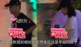郑恺爆料白鹿视频,揭秘背后故事