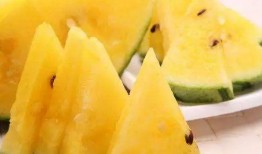 黑瓜吃料官网免费,解锁美食新体验，免费享受美味盛宴