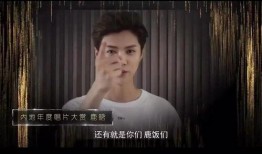 黄子诚视频爆料大全集,揭秘娱乐圈幕后真相