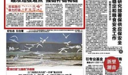 今日头条慈溪爆料,揭秘当地民生热点事件背后的真相