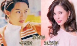 娱乐圈十大爆料事件,揭秘明星背后的秘密与真相