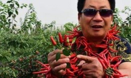 中国辣王李永志爆料视频,辣王之路背后的辛酸与荣耀