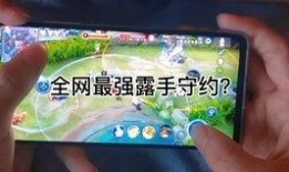王者新娘爆料视频,揭秘游戏背后的甜蜜爱情故事