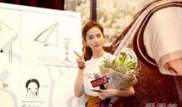 许圣梅爆料刘亦菲视频,揭秘背后惊人内幕