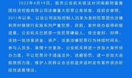 最新案件爆料新闻视频下载,视频揭秘惊人内幕