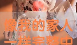 剑与花在线观看,在线观看，探寻奇幻世界的传奇之旅