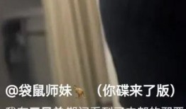 三只羊爆料视频在哪里看,观看途径大公开