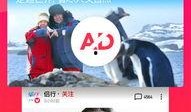 西瓜视频乐娱爆料,西瓜视频最新动态揭秘