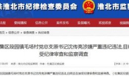 深圳新闻爆料邮箱,见证城市脉搏，倾听市民心声