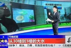 沈阳爆料最新消息新闻网