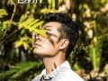 陈赫爆料斗志视频大全集,视频大全集深度解析