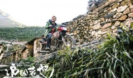 追凶者也在线观看手机