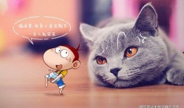 猫猫在无限流签到吃瓜免费阅读,无限世界里的悠闲生活