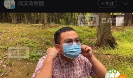 情感爆料笑死不偿命视频,笑到肚子疼的“笑死不偿命”视频大揭秘