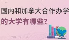 加拿大博主爆料新闻报道,揭秘新闻报道背后的真相