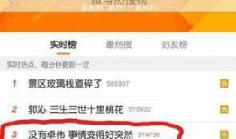卓伟最新爆料录音下载,揭秘娱乐圈惊人内幕