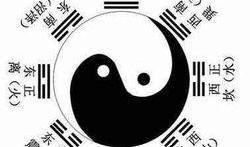 原创爆料八卦视频大全,独家爆料，八卦视频大全大揭秘