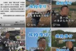 宇哥爆料视频大全集免费观看,免费观看，揭秘幕后真相