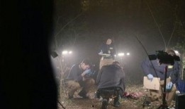 目击者美剧 在线观看,揭秘真实事件背后的惊人真相