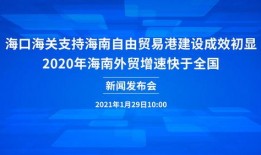 广州时报爆料新闻视频回放,新闻视频回放背后的真相
