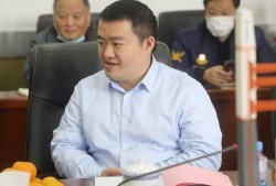 刘振最新爆料新闻报道,揭秘事件背后惊人内幕