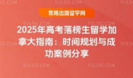 加拿大博主爆料新闻报道,揭秘新闻报道背后的真相