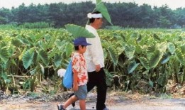 菊次郎的夏天在线观看,重温温馨童趣，感受夏日情怀