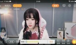姐姐爆料的视频大全集在线观看,揭秘幕后真相，带你走进娱乐圈风云