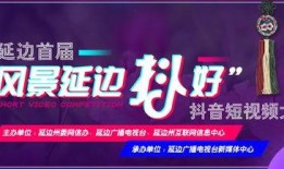 西昌爆料小达人视频大全,揭秘视频大全背后的精彩故事