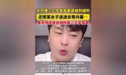 辛巴爆料三只羊内幕完整视频,揭秘背后惊人真相