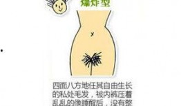 美女阴毛在线观看,揭秘美女阴毛的神秘魅力