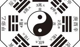 原创爆料八卦视频大全,独家爆料，八卦视频大全大揭秘