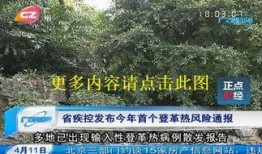 广州电视台新闻爆料直播,最新事件现场直击
