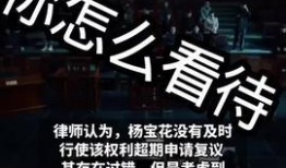 福建新闻今日焦点爆料视频,揭秘重大事件背后真相